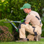Petrol Chainsaws